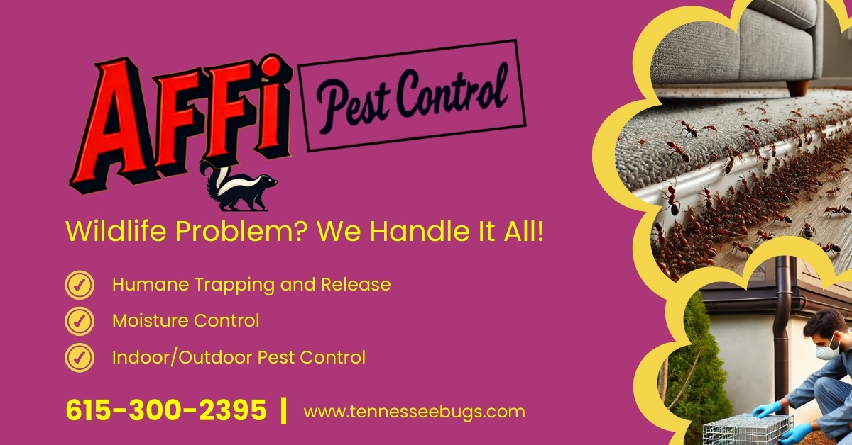 The Art of Removing Bees and Wasps Without Tearing Apart Your Home